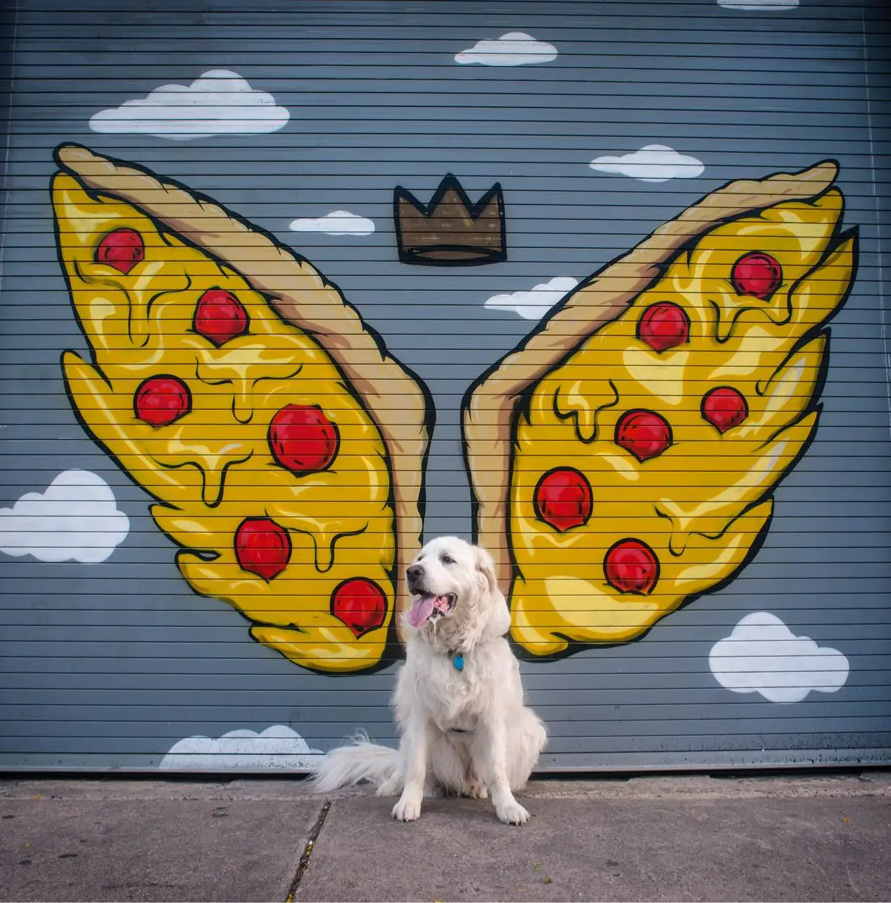 Pizza Pup